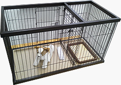 子犬のお部屋