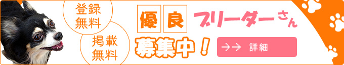 ブリーダーさん募集中!