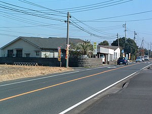 鹿児島県鹿屋市 加藤ブリーダー