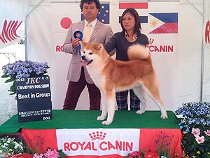 岡山県岡山市 杉本ブリーダー