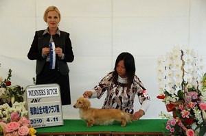 和歌山県西牟婁郡 小林ブリーダー